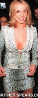 See_More_of_Britney_Spears_at_BRITNEYSPEARS_CC_22.jpg